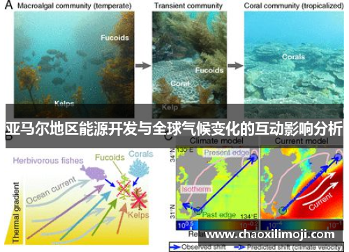 亚马尔地区能源开发与全球气候变化的互动影响分析